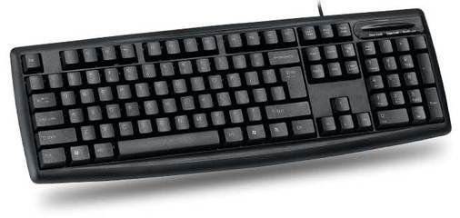 彩虹鳥鍵盤_網上逛街_遂川網